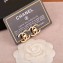 Chanel Earrings 101 2018