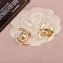 Chanel Earrings 101 2018