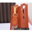Hermes Mini Evelyne Bag In Original Togo Leather Orange with Gold Hardware (Machine Made)