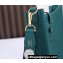 Hermes Mini Evelyne Bag In Original Togo Leather Blue Green with Gold/Silver Hardware (Machine Made)