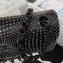 Chanel Crystal Studs Classic Small Handbag A0116 Black 2023