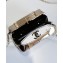Chanel Metal Evening Bag AS4590 2023