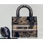 Lady Dior Medium D-Lite Bag in Black Multicolor Cornely-Effect Dior Jardin d'Hiver Embroidery 2022