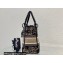 Lady Dior Medium D-Lite Bag in Black Multicolor Cornely-Effect Dior Jardin d'Hiver Embroidery 2022