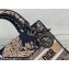 Lady Dior Medium D-Lite Bag in Black Multicolor Cornely-Effect Dior Jardin d'Hiver Embroidery 2022