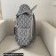 Dior Gray CD Diamond Canvas Hit The Road Backpack Bag 2022