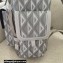 Dior Gray CD Diamond Canvas Hit The Road Backpack Bag 2022