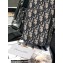Dior Oblique Jacquard Micro Rider Pouch Bag 2022