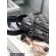 Dior Oblique Jacquard Micro Rider Pouch Bag 2022