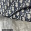 Dior Oblique Jacquard Saddle Belt Bag 2022
