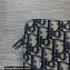 Dior Oblique Jacquard Pouch Bag 2022