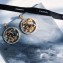 Chanel Earrings 39 2018
