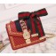 Gucci Sylvie Leather Mini Chain Bag 431666 Red 2018