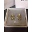 Dior Earrings 01 2018
