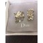 Dior Earrings 01 2018