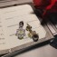 Bvlgari Earrings 01 2018