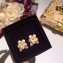 Chanel Earrings 42 2018