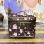 LV x TM Monogram coated canvas Nice Mini toiletry bag M14181 2025