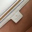Gucci Embroidered Flower Sylvie Small Shoulder Bag 421882 White 2018