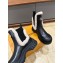 Louis Vuitton LV Ski Ruby Flat Ankle Boots calf leather and shearling Black 2023