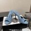 Alexander Wang Heel 10cm Lucienne Mules in Denim Blue 2024