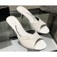 Alexander Wang Heel 6.5cm Lucienne Mules in Leather White 2024