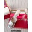 Roger Vivier Heel 8.5cm Trompette Metal Buckle Mules in Leather Silver 2024