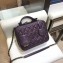 Chanel CC Filigree Grained Vanity Case Medium Bag A93343 Metallic Purple