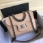Chanel Grained Calfskin Small Archi Chic Flap Bag A57217 Beige/Silver 2018