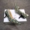 Dior Heel 6.5cm J'Adior And Double Ribbon Pumps In Obliuqe Jacquard Canvas Green 2019