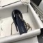 Chanel WOC Caviar Boy Flap Bag Dark Blue 