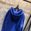 Champion Cotton Classic Hoodie Sweatshirt Blue