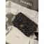 Chanel Strass, Crystal Pearls & Ruthenium-Finish Metal Small Evening Bag AS4268 2023