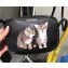 Balenciaga Kitten Everyday Camera Bag 489809 2018