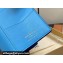 Louis Vuitton LV Vertical Wallet M82441 Blue 2023