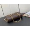 Louis Vuitton Monogram Canvas Wallet On Chain Lily Bag M82509 2023