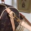 Louis Vuitton Monogram Canvas Speedy Bandoulière 25 M41113