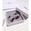 Dior Earrings 03 2018