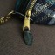 Balenciaga Monogram Belt Pack Bag Blue/Beige 2018