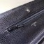 Chanel Caviar Leather Quilting Wallet On Chain WOC Bag Black/Silver