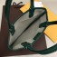 Goyard Poitiers Tote Bag Green 2018