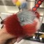 Fendi Multicolor Mink Fur Ice Cream Pattern Key Charm 2018