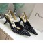 Dior J’Adior Slingback Heel 65MM Pump in Tartan Fabric Black/White 2018