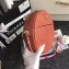Chanel Chevron Round Pattern Vintage Chain Shoulder Bag Lobster Pink 2018