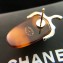 Chanel Nut Resin Stud Earrings Brown 2018