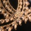 Chanel Beads CC Brooch A58082 Pearly White/Gold 2018