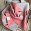 Acne Studios Logo Cashmere Scarf 50x220CM Pink/Grey