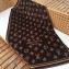 Louis Vuitton Monogram Classic Cotton Beach Towel 150X95CM Brown M72364