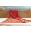 Louis Vuitton Monogram Classic Cotton Beach Towel 150X95CM Light Brown M70277