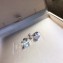 Bvlgari Griffe Earrings 852873 2018
